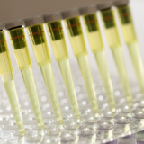 Laboriteenused ettevõtetele