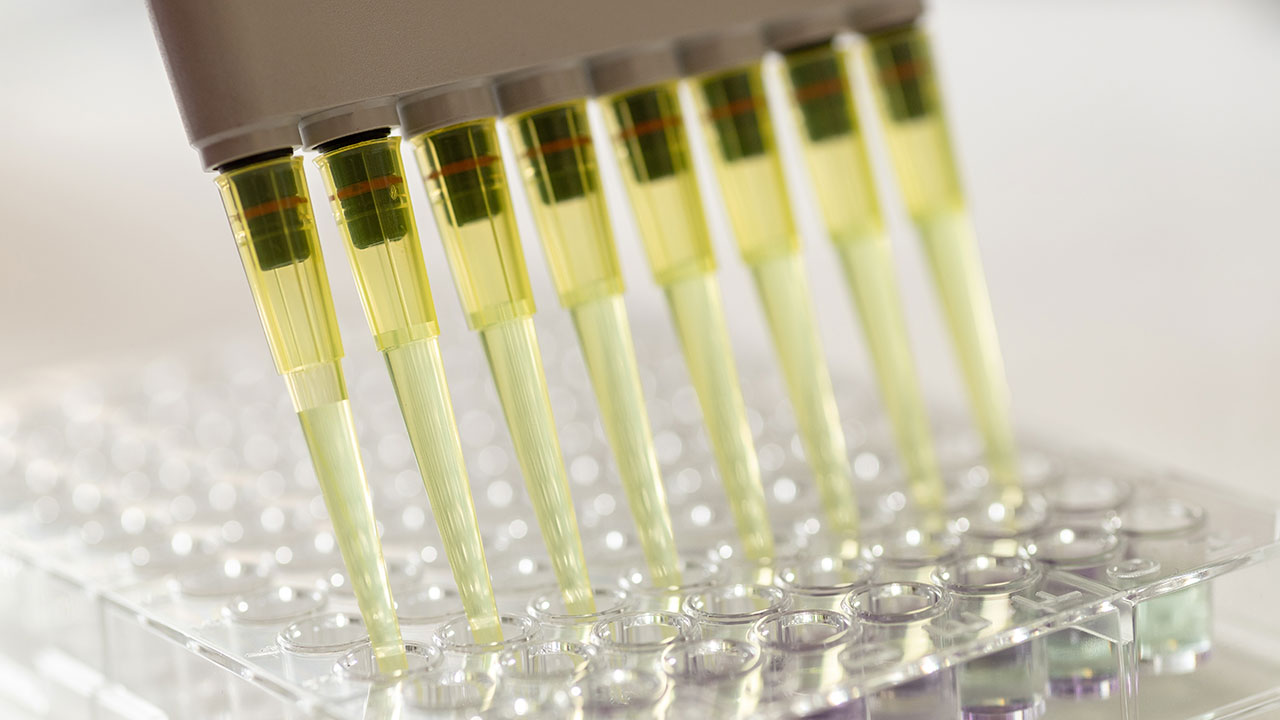 Laboriteenused ettevõtetele