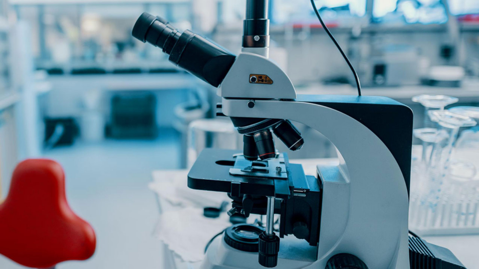 TLÜ ja Mohlab koostöös sündis uus looduslik šampoon ja palsam