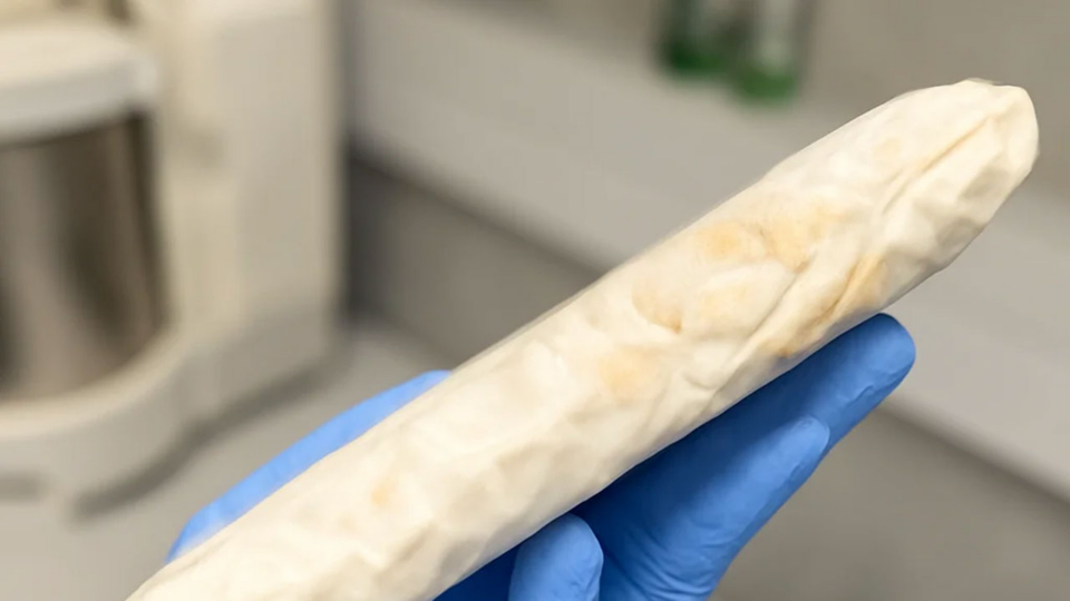 TFTAK-i ja NordTempeh koostöös sai unikaalse herne baasil tempeh’ tootmine hoo sisse